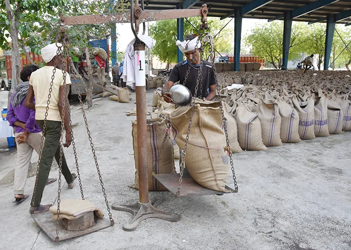 Purchase of Wheat and Mustard
