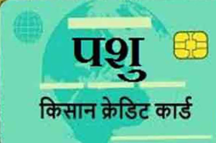 Pashudhan Kisan Credit Card
