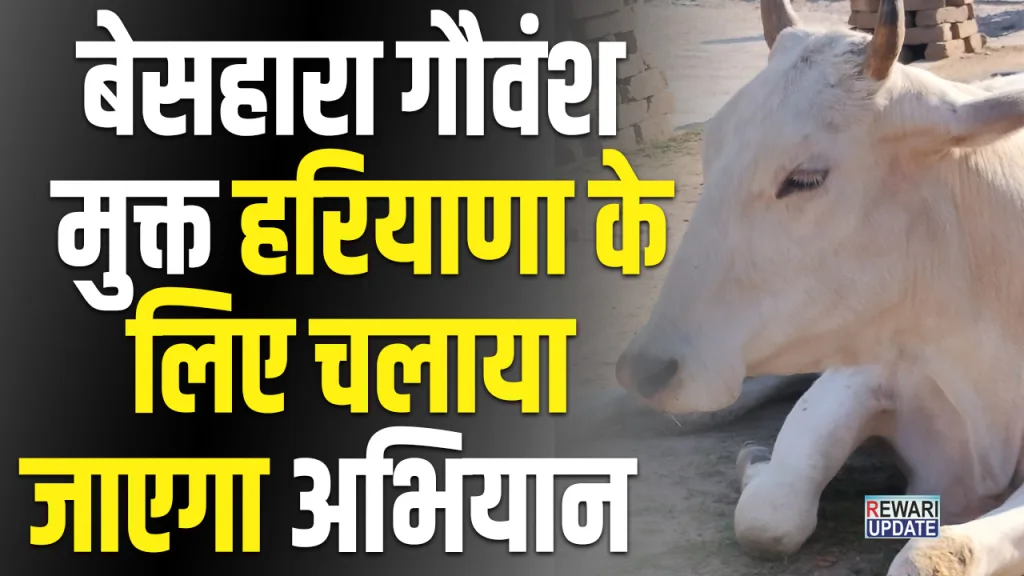 cattle free haryana
