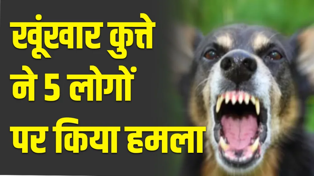 rewari dog attack