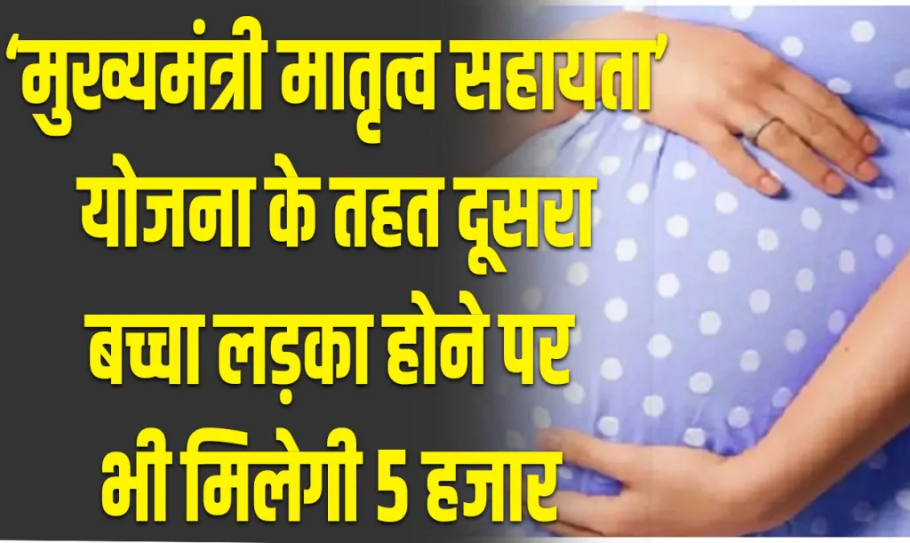 mukhyamantri matritva sahyog yojana haryana