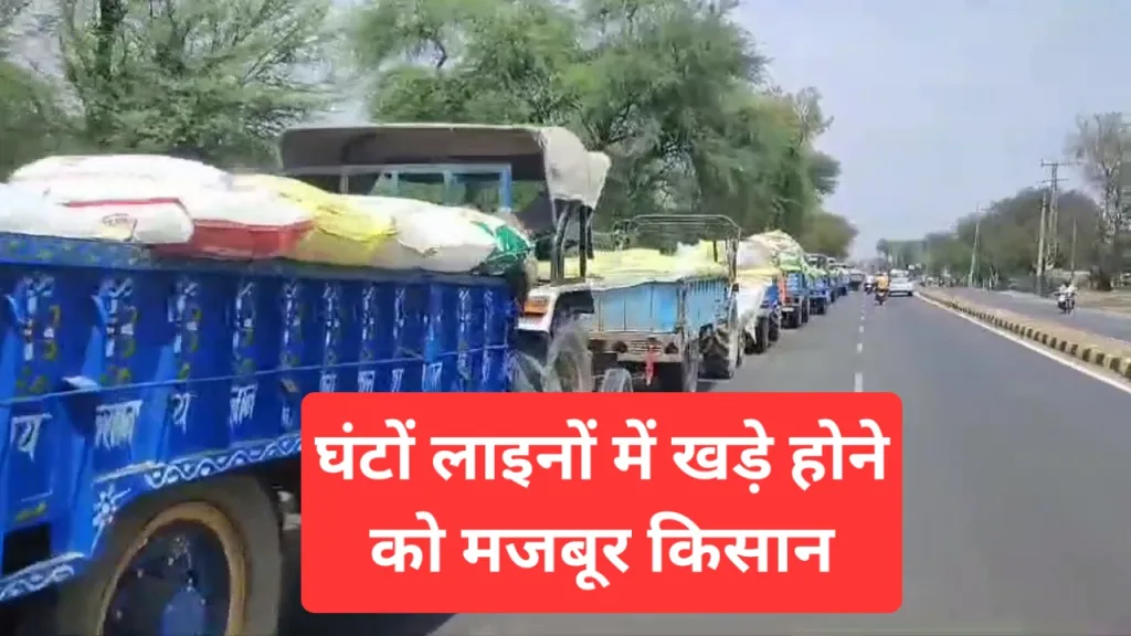 rewari mandi sarso kharid