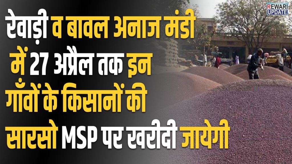 रेवाड़ी व बावल अनाज मंडी में 27 अप्रैल तक इन गाँवों के किसानों की सारसो MSP पर खरीदी जायेगी
