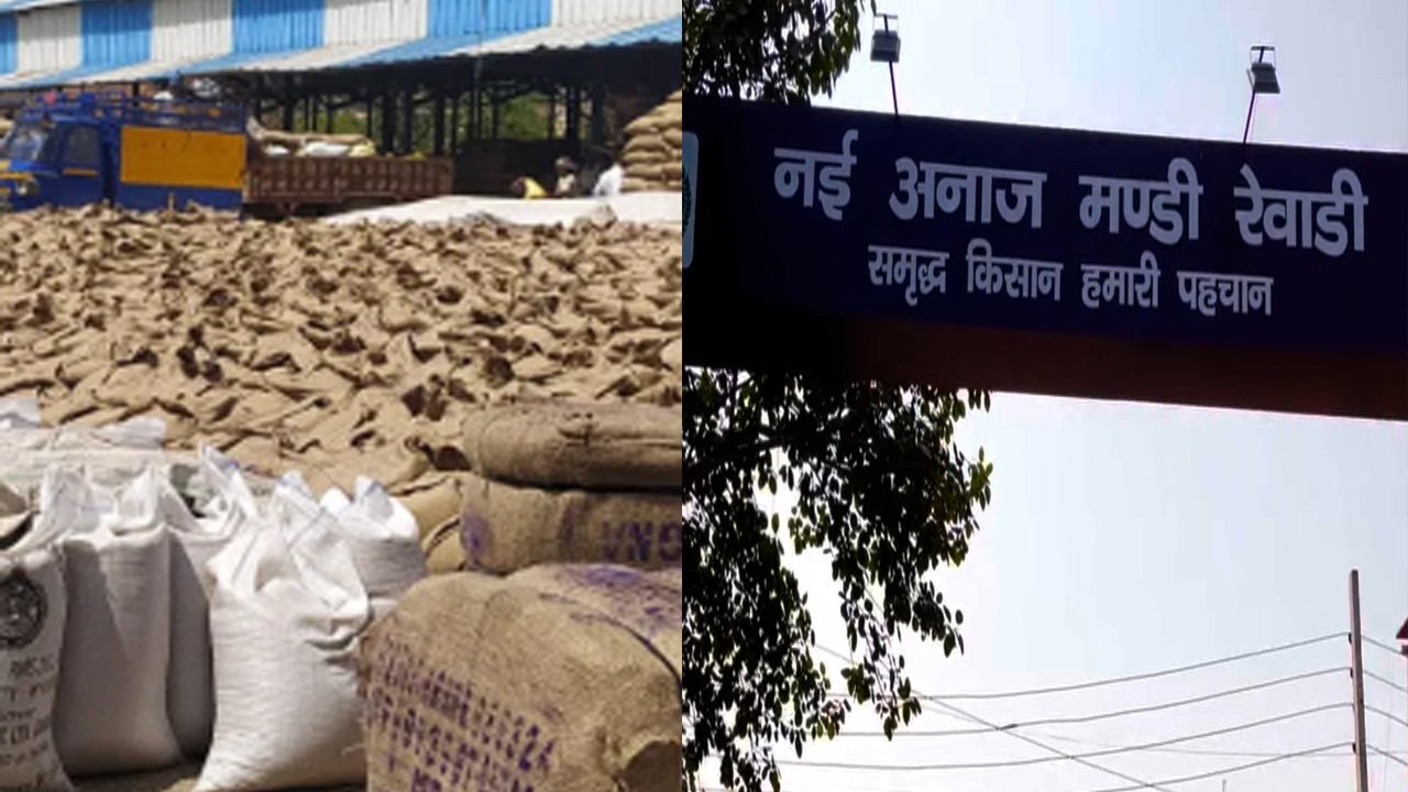 Rewari Mandi News: 3 thousand quintals of millet stuck due to e-procurement portal glitch