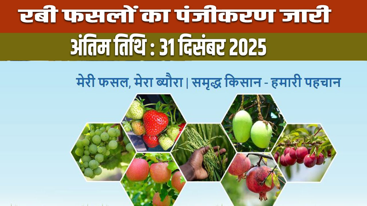 Rewari: Registration of Rabi crops is mandatory by December 31.