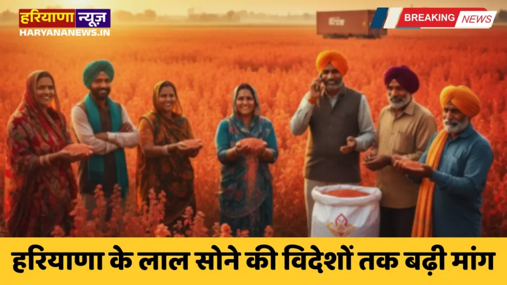 Demand for Haryana's red gold